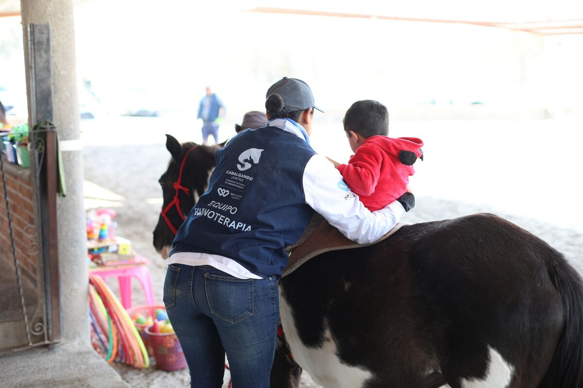 Inicia SEDIF sesiones de equinoterapia en la zona metropolitana